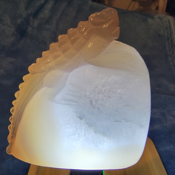 Carved Iguana on Rock Agate Crystal Druzy Prehistoric Lizard Natural Gemstone - Picture 15 of 15